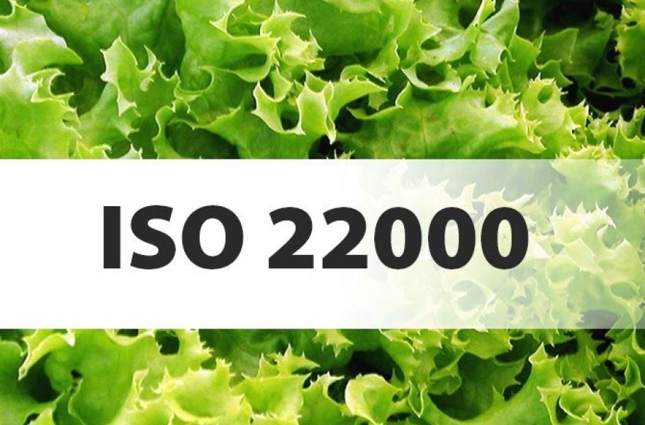 Сертификат системы менеджмента безопасности пищевой продукции ISO 22000 по доступной цене